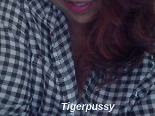 Tigerpussy