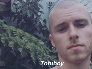 Tofu_boy