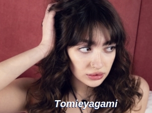 Tomieyagami