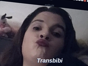 Transbibi