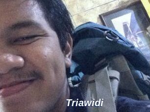 Triawidi