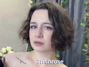Trishrose