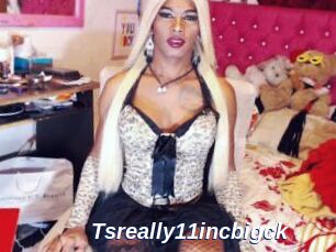 Tsreally11incbigck
