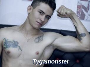 Tygamonster