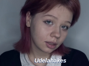 Udelahakes