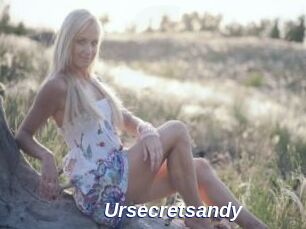 Ursecretsandy