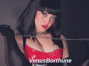 VenusBorthune