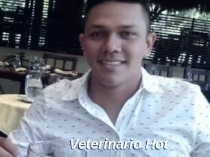 Veterinario_Hot