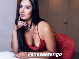 vanesaarango Safer Sex