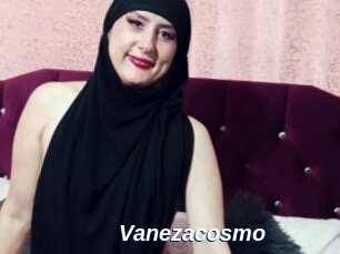 Vanezacosmo
