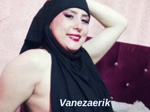 Vanezaerik
