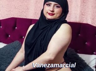 Vanezamarcial