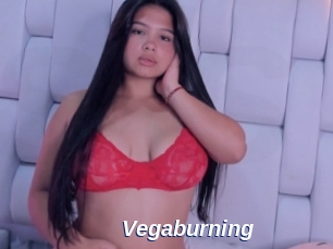 Vegaburning