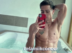 Velamiikconoor