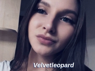 Velvetleopard