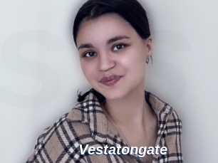 Vestatongate
