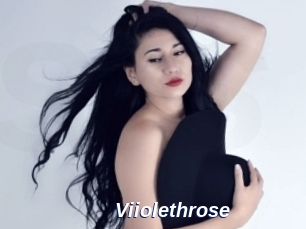 Viiolethrose
