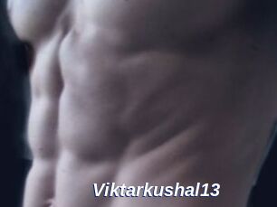 Viktarkushal13
