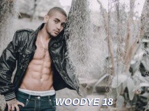 WOODYE_18
