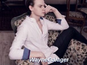 WayneGalager