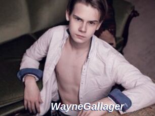 WayneGallager