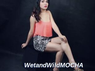 WetandWildMOCHA