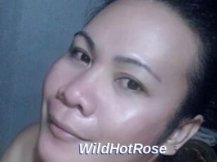 WildHotRose