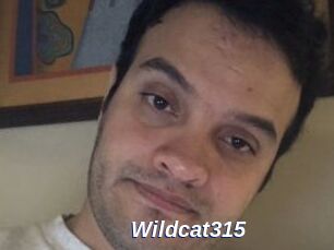 Wildcat315