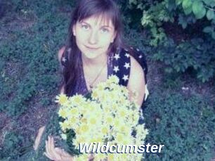 Wildcumster
