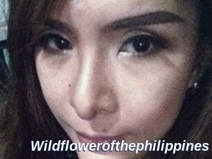 Wildflowerofthephilippines