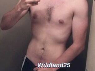 Wildland25