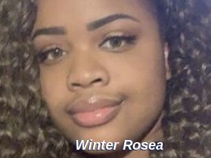 Winter_Rosea