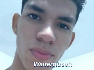 Waltergibson