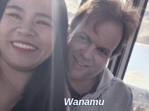 Wanamu