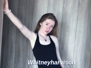 Whitneyharvison