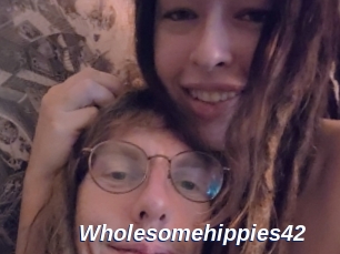 Wholesomehippies42