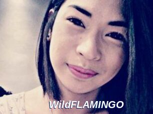 WildFLAMINGO
