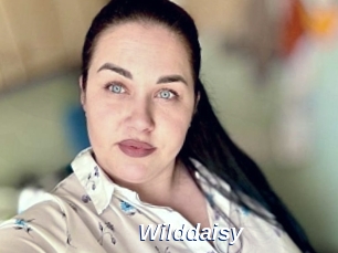 Wilddaisy