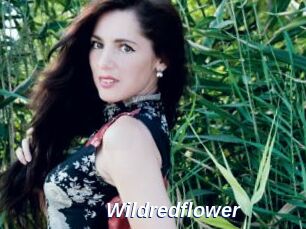 Wildredflower