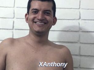 XAnthony