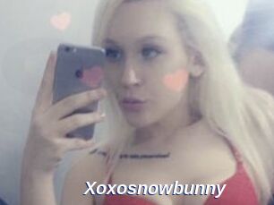 Xoxosnowbunny