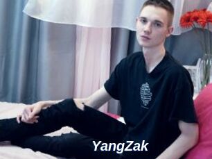 YangZak