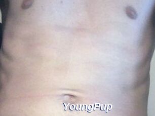YoungPup