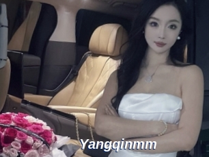 Yangqinmm