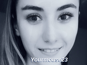 Yourmouse23