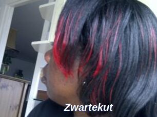 Zwartekut
