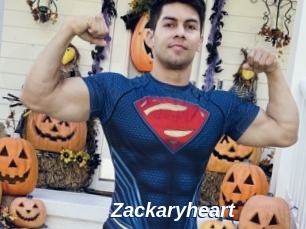 zackaryheart Safer Sex