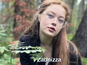 Zadnizza