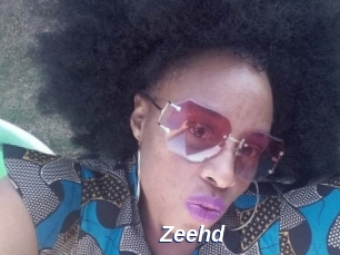zeehd Safer Sex