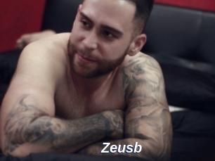 Zeusb